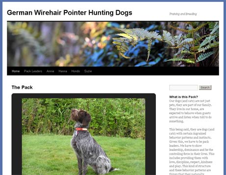 Pointer Hunting Dogs