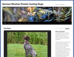 Pointer Hunting Dogs